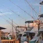 boats