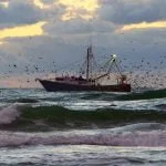 fishing boat